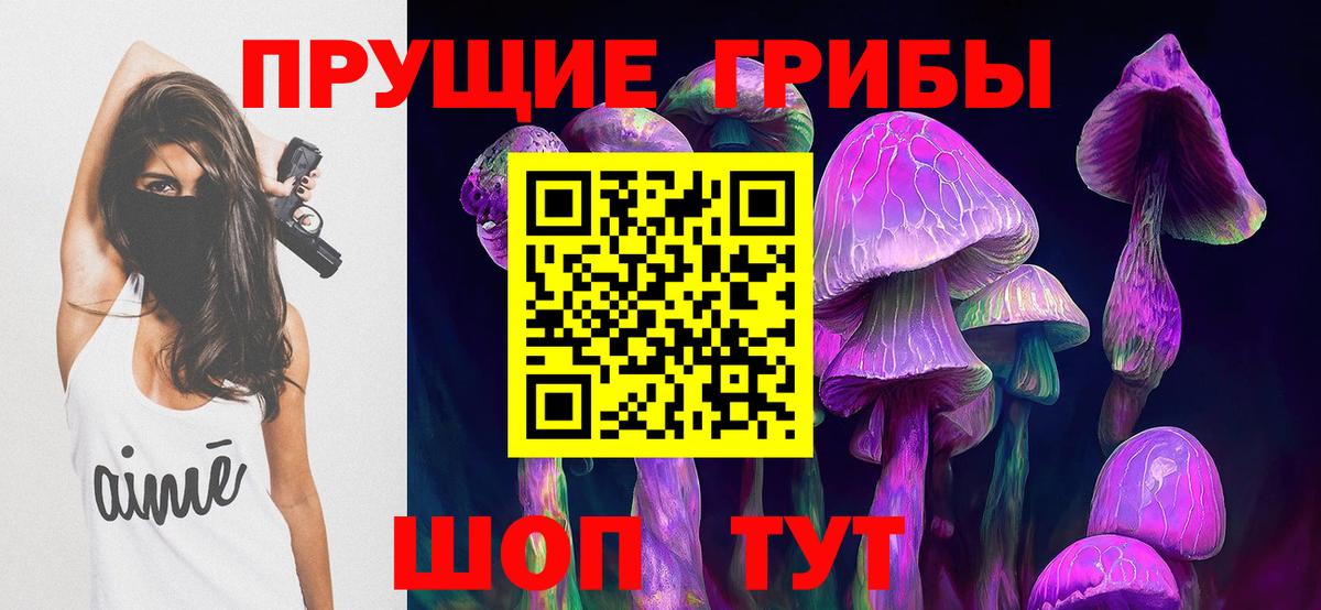 Галлюциногенные грибы Cubensis Новоалександровск
